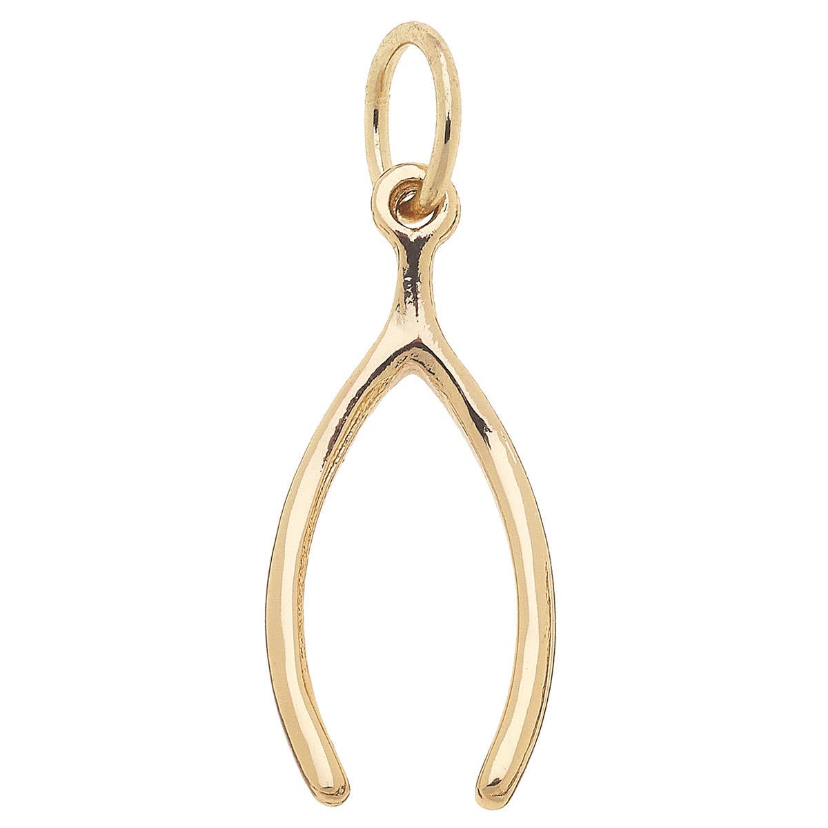 Lucky Wishbone Charm
