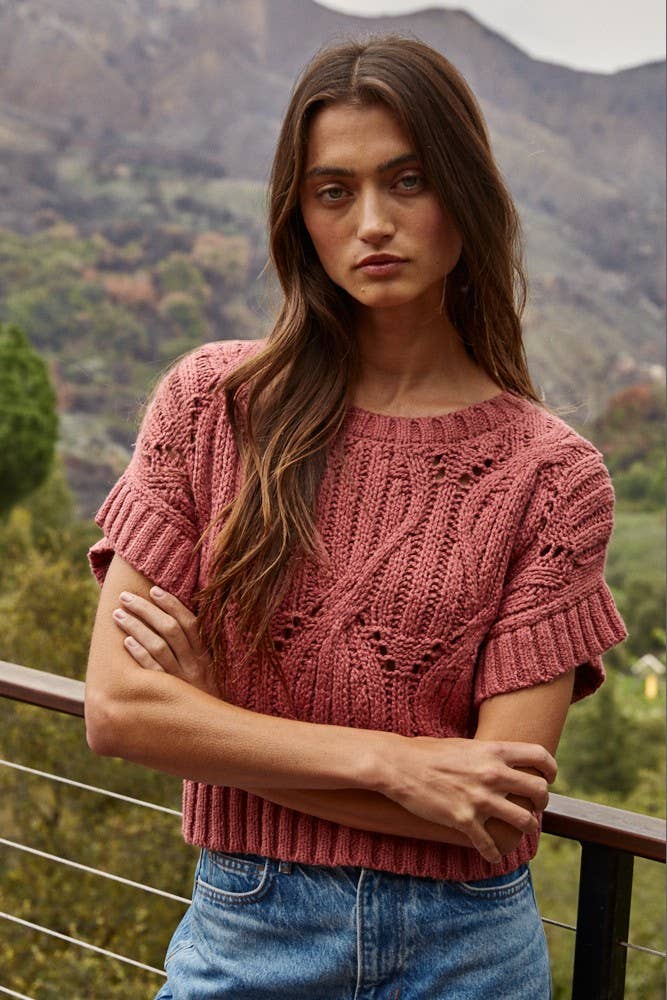 Knit Sweater Crochet Short Sleeve Top
