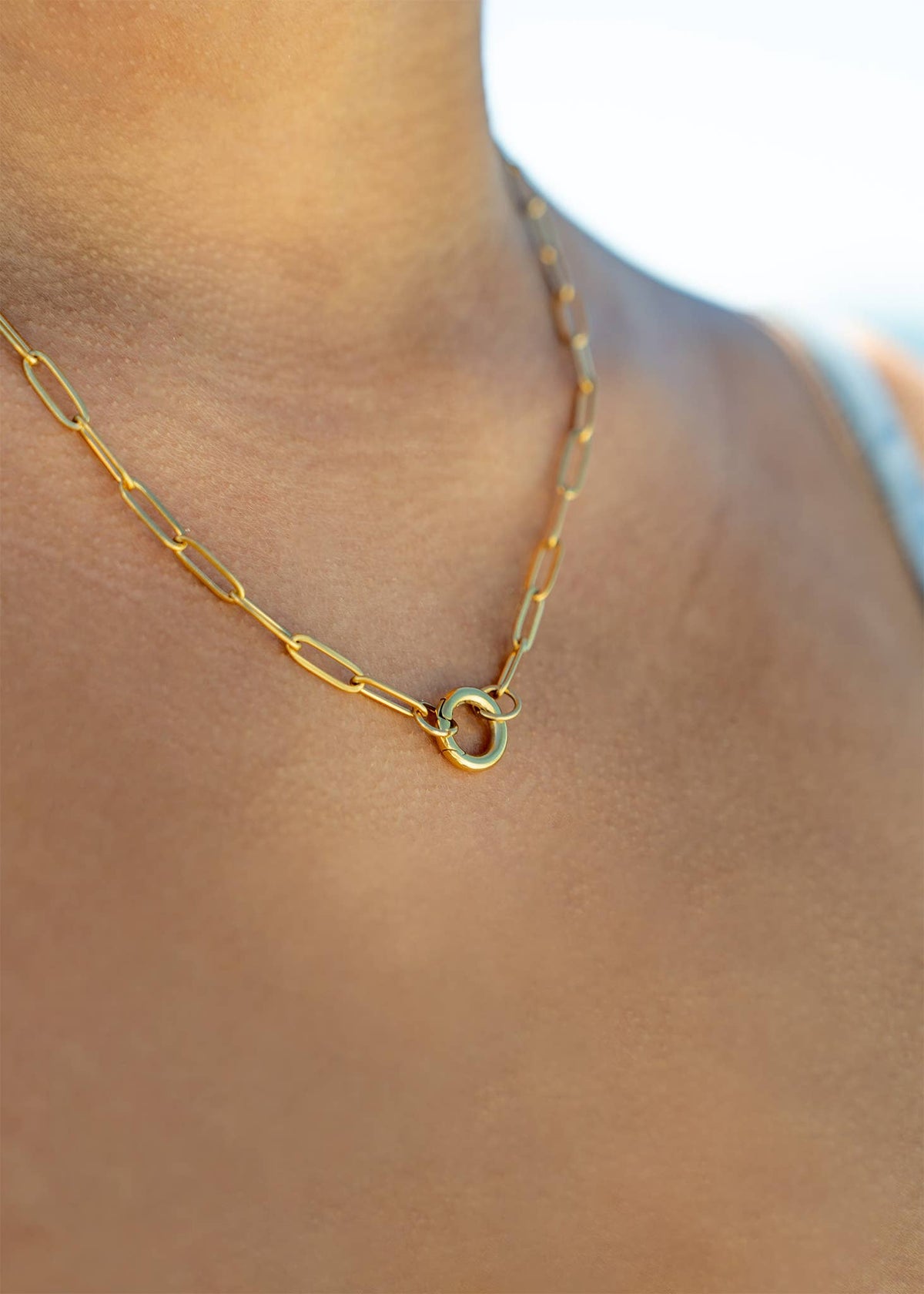 Paperclip Carabiner Necklace